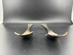Past Times Cheese/Sugar Spoon - Image 4