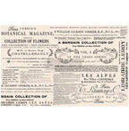 Decoupage Decor Tissue Paper 19"X30"-Floral Text - Image 3