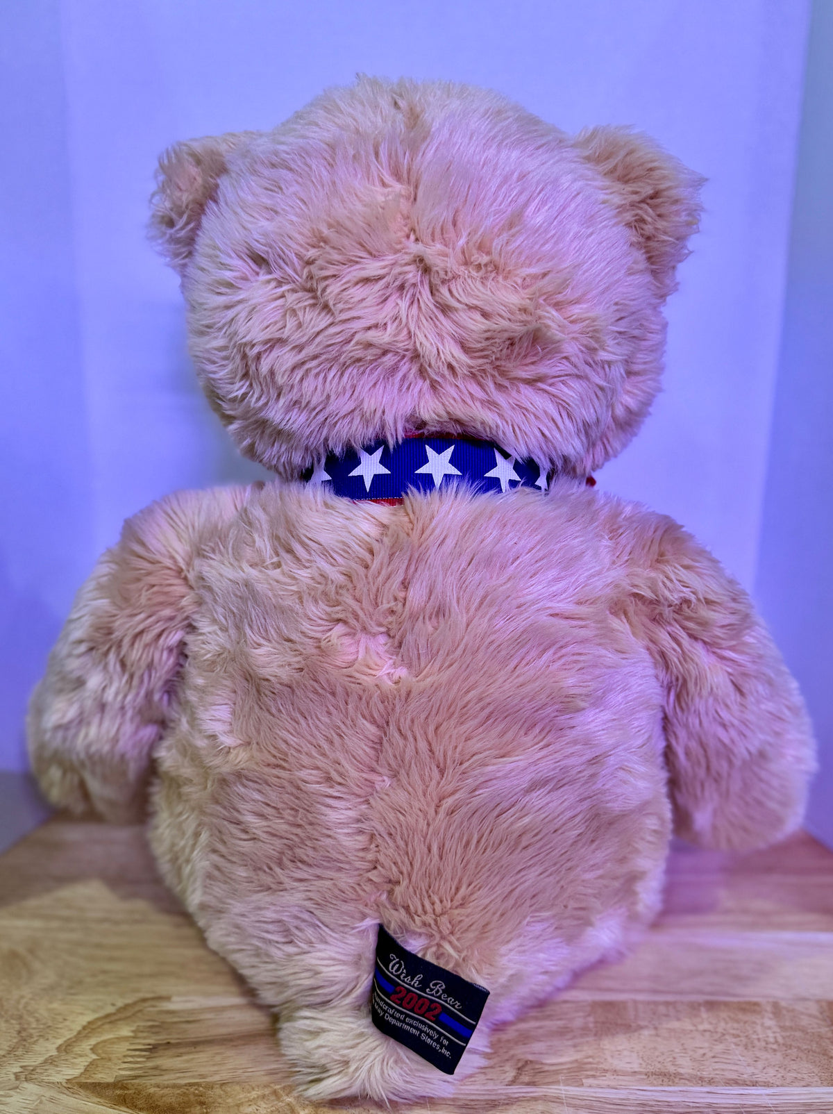 100th Ann. Teddy Bear - Image 6