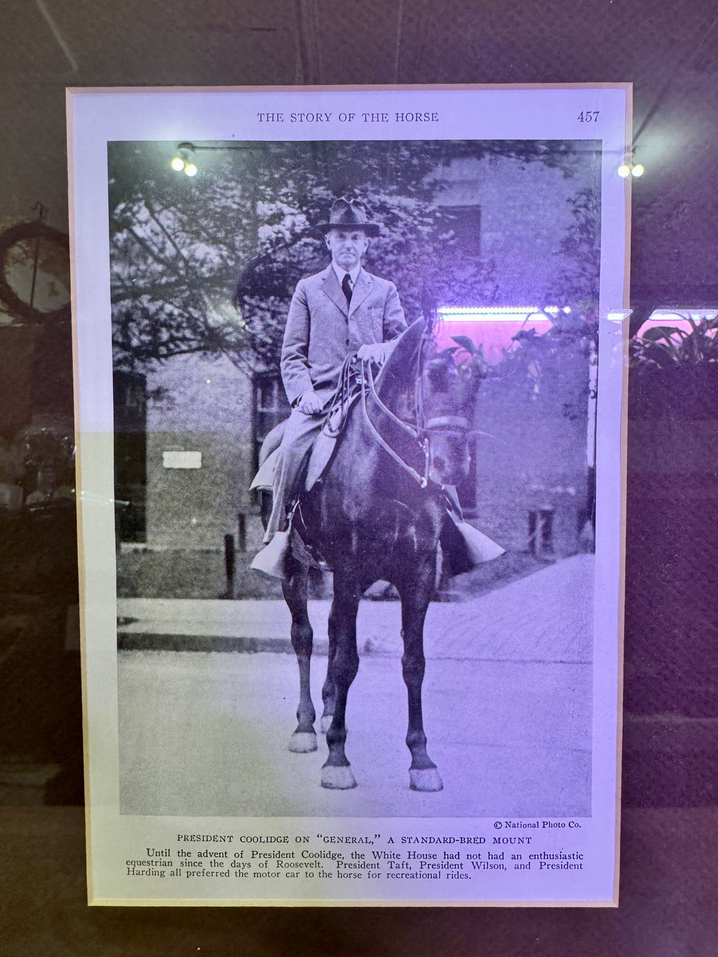 Framed Print "Calvin Coolidge on 'General' a Standard-Bred Mount" - Image 2