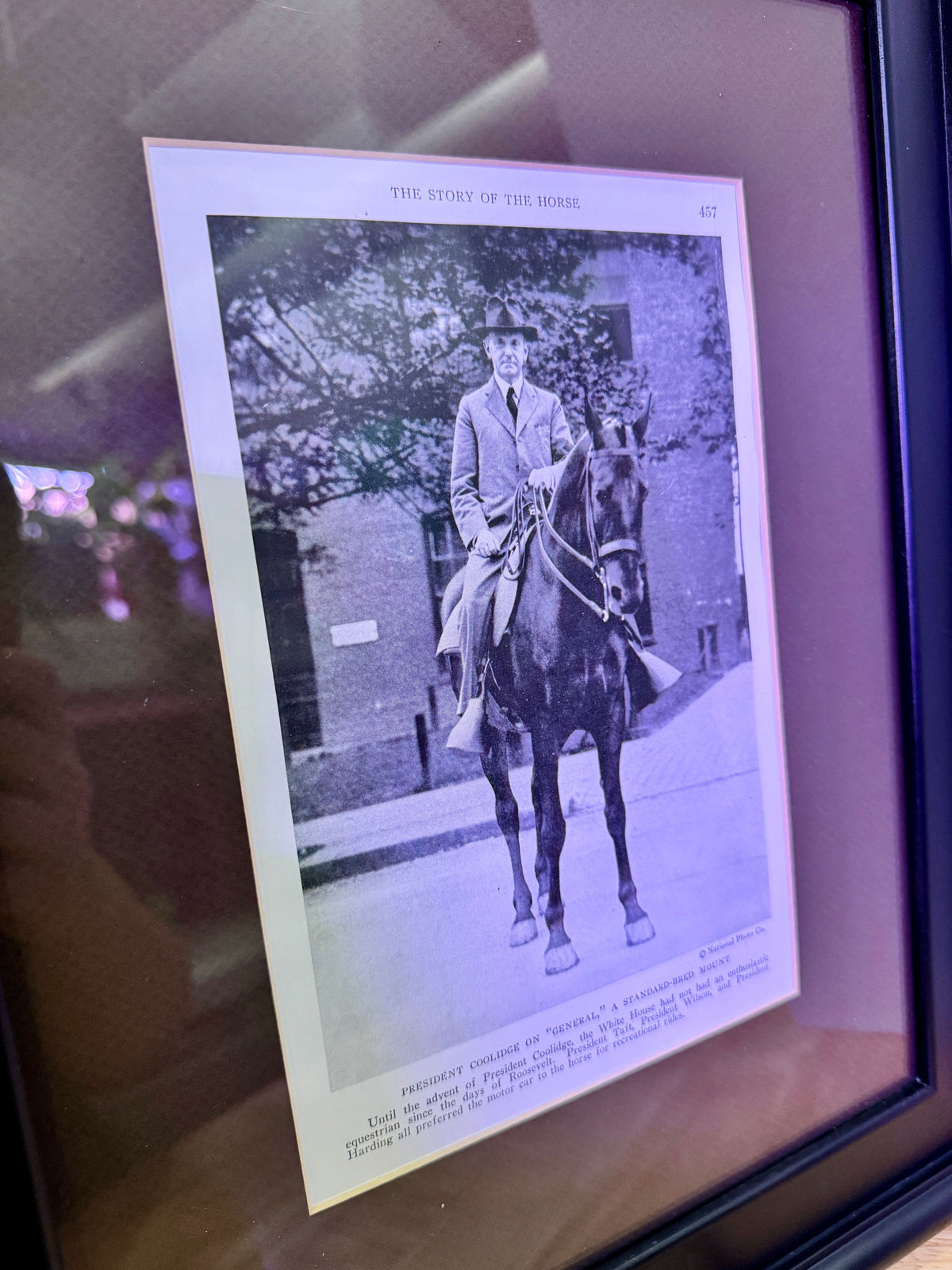 Framed Print "Calvin Coolidge on 'General' a Standard-Bred Mount" - Image 3