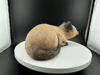 Vintage 1982 Sandcast Siamese Cat Figurine