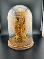 Vintage Kitschy Ceramic Animals in a Treehouse Diorama Terrarium