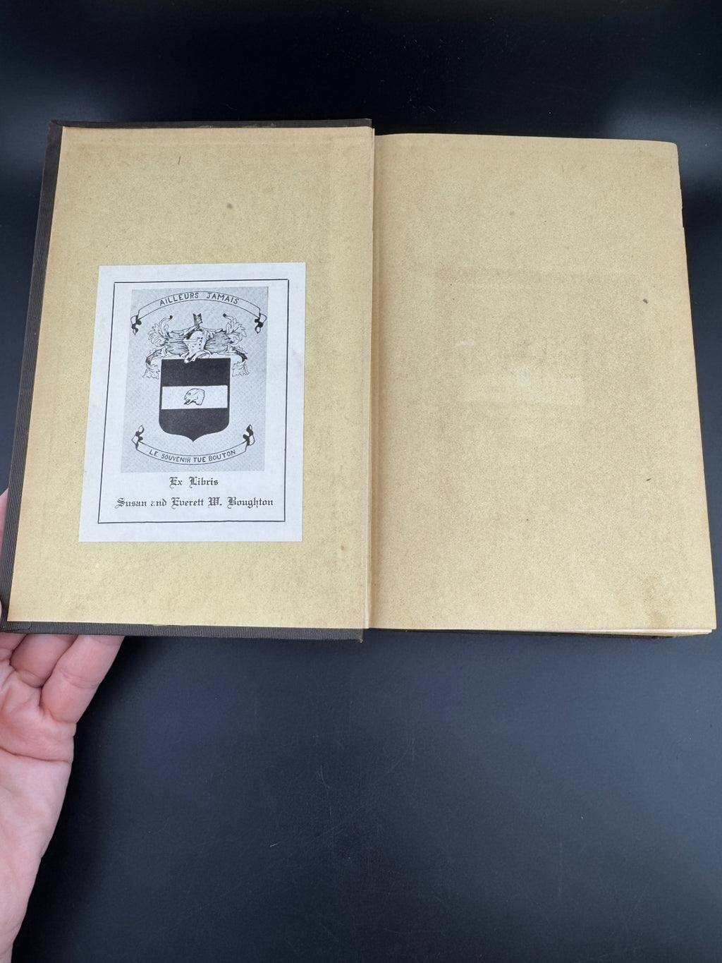 Charles Dickens "Dombey and Son - Volume II" - The Peterson's Duodecimo Edition