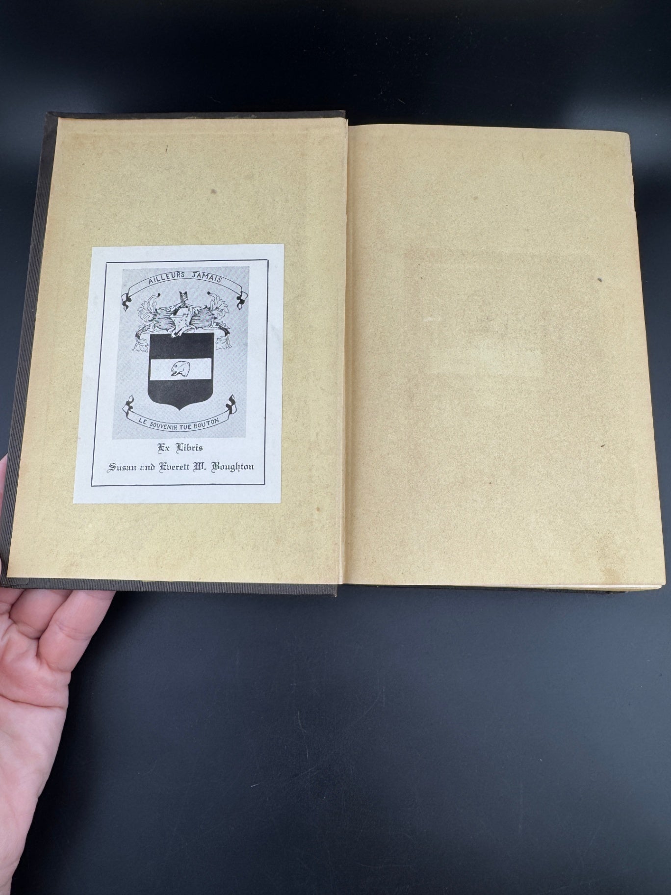 Charles Dickens "Dombey and Son - Volume II" - The Peterson's Duodecimo Edition