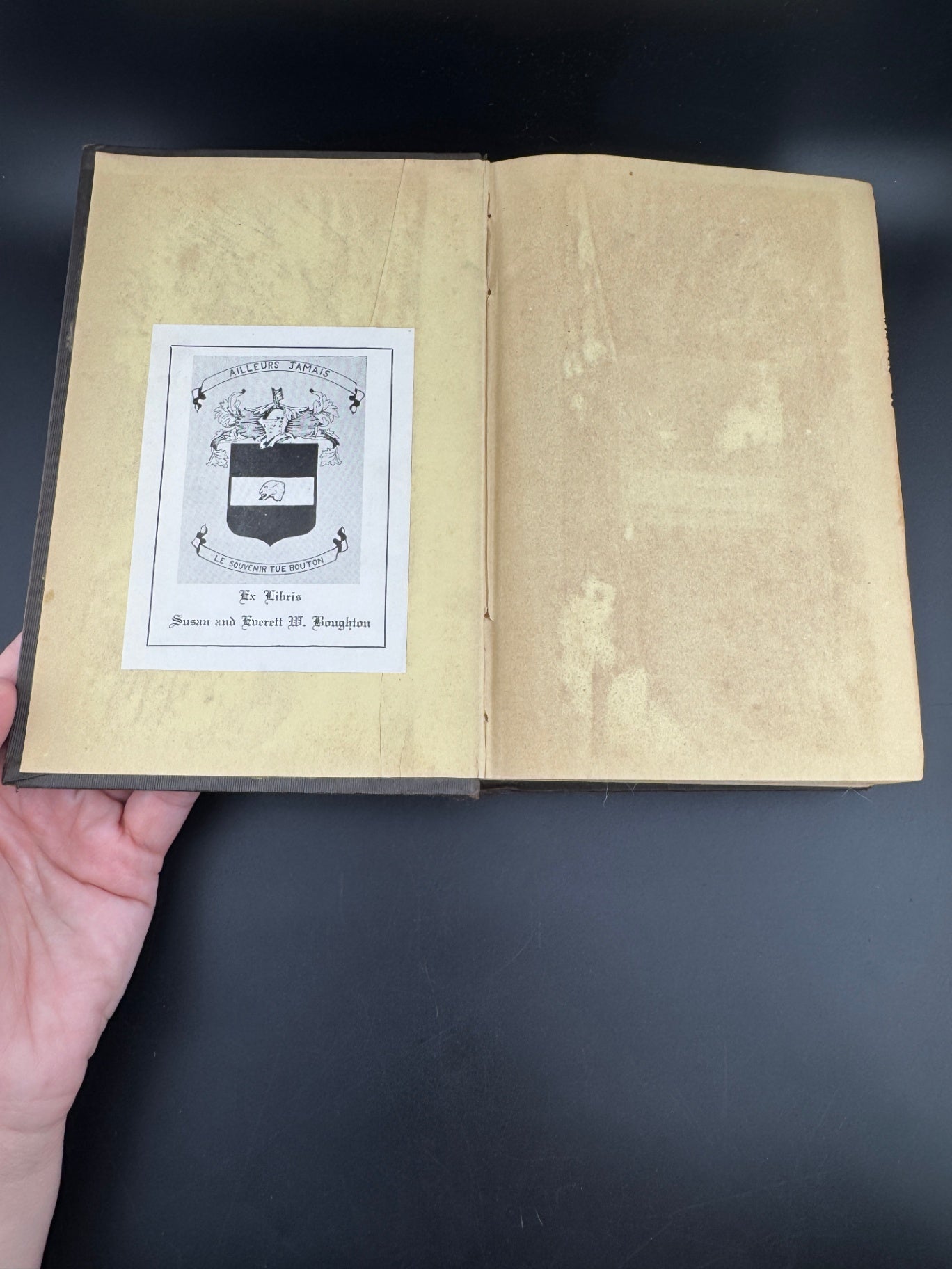 Charles Dickens "Dombey and Son - Volume I" - The Peterson's Duodecimo Edition