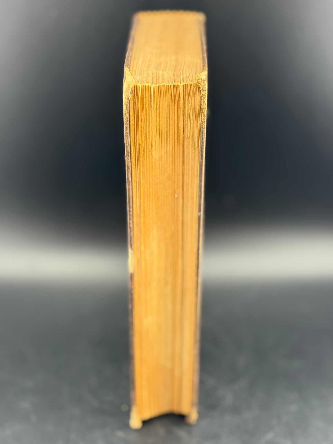 Charles Dickens "Barnaby Ridge - Volume II" - The Peterson's Duodecimo Edition