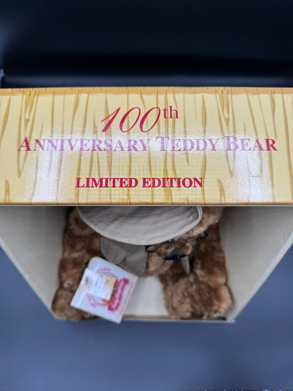 Teddy Roughrider NIB