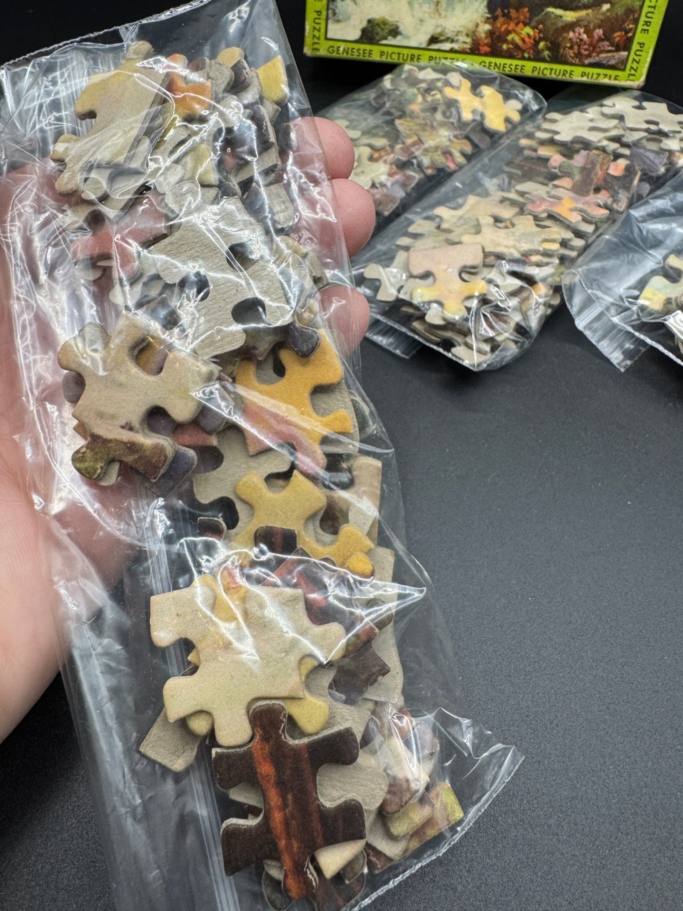 Vintage Genesee Picture Puzzle Pieces, Crafting
