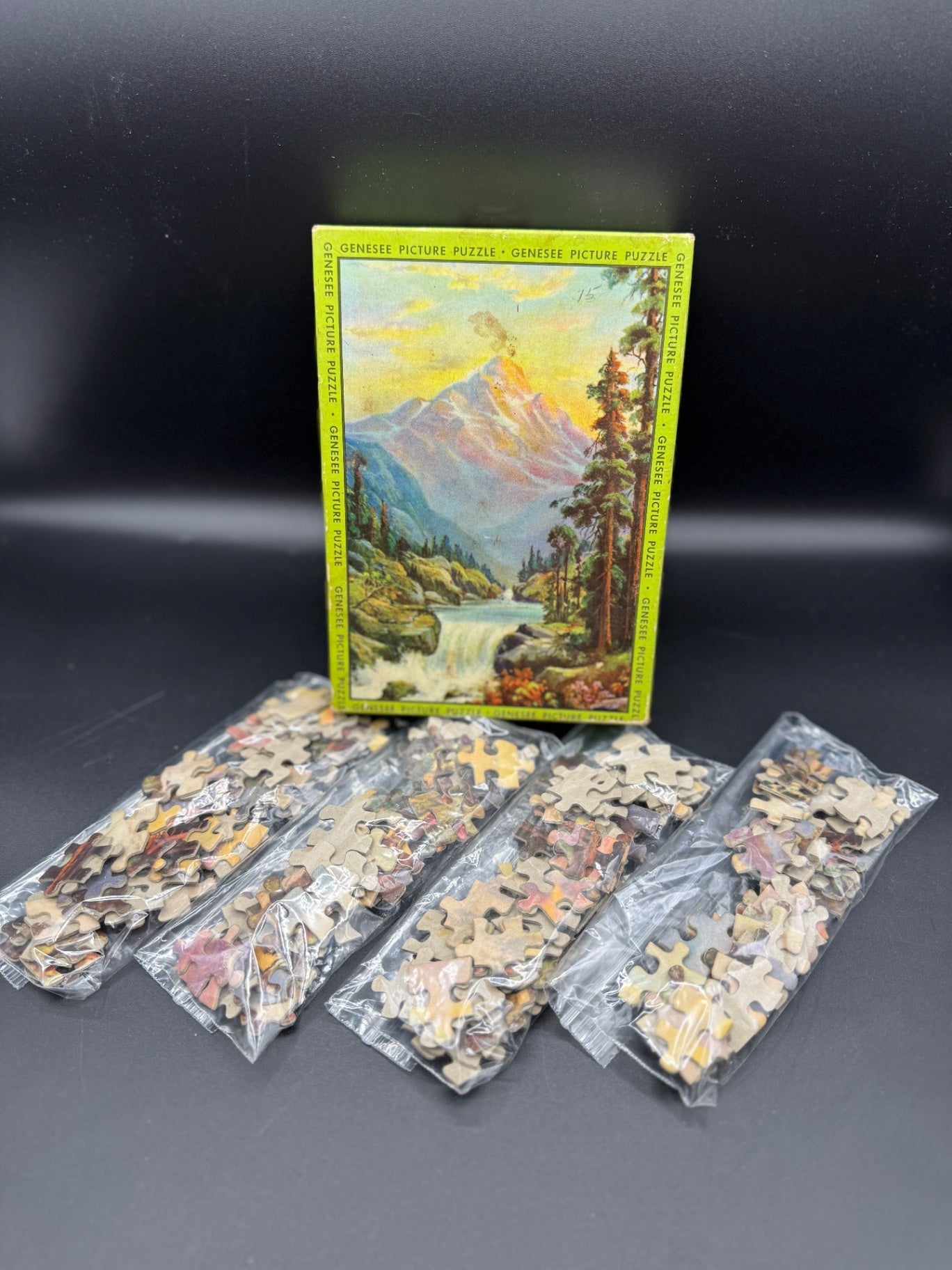 Vintage Genesee Picture Puzzle Pieces, Crafting