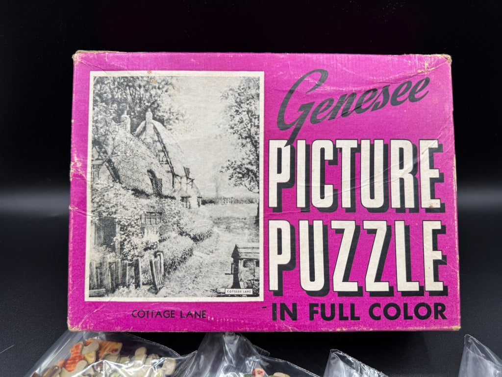 Vintage Genesee Picture Puzzle Pieces, Crafting