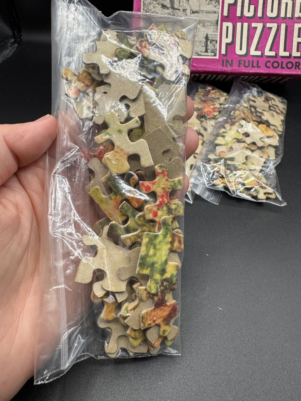 Vintage Genesee Picture Puzzle Pieces, Crafting