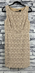 Ann Taylor Beige Lace Dress - Image 1