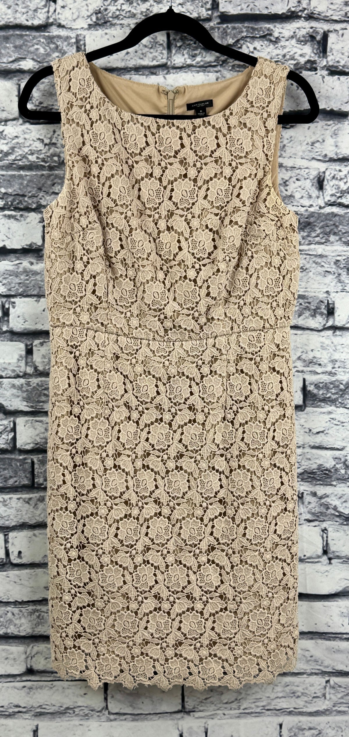 Ann Taylor Beige Lace Dress - Image 1