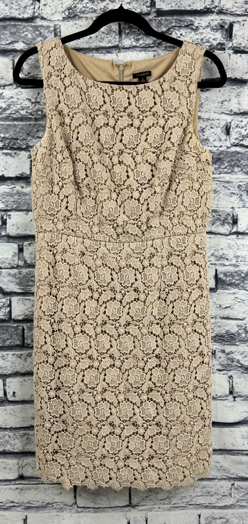 Ann Taylor Beige Lace Dress - Image 1