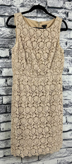 Ann Taylor Beige Lace Dress - Image 2