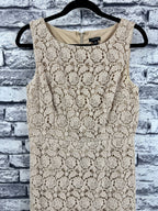 Ann Taylor Beige Lace Dress - Image 4