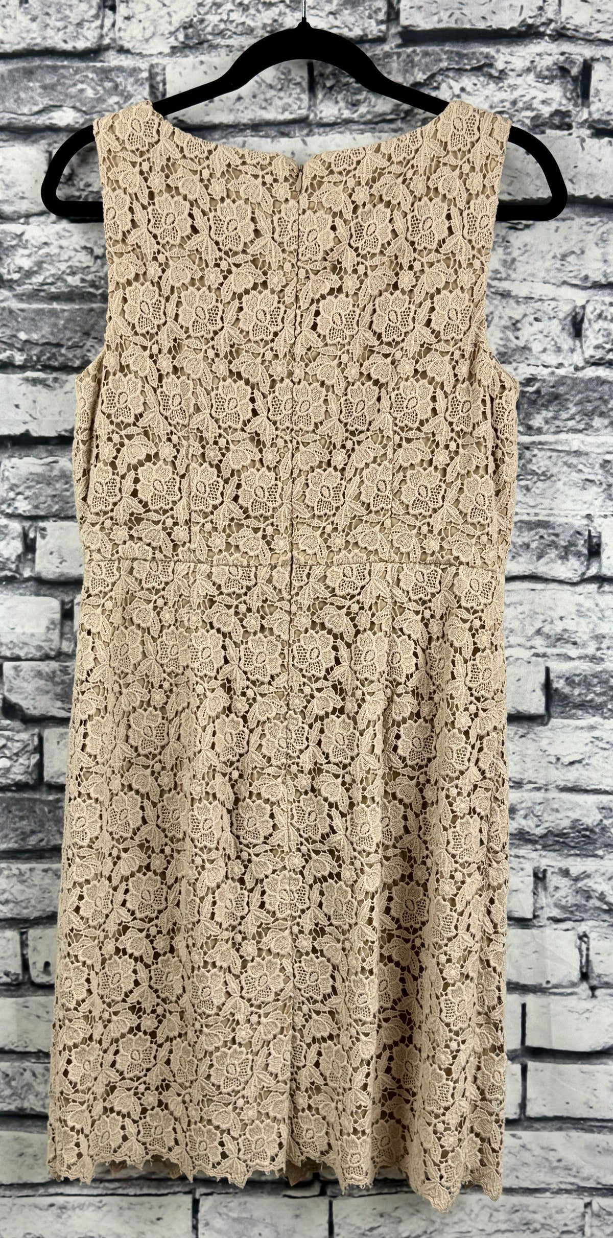 Ann Taylor Beige Lace Dress - Image 5